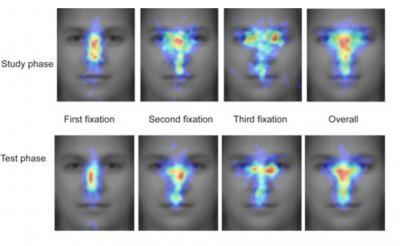 Noses, Not Eyes, Are Where We Look First